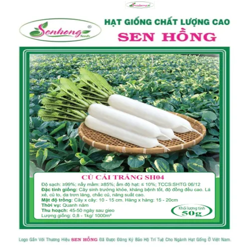 CẢI CỦ SH04