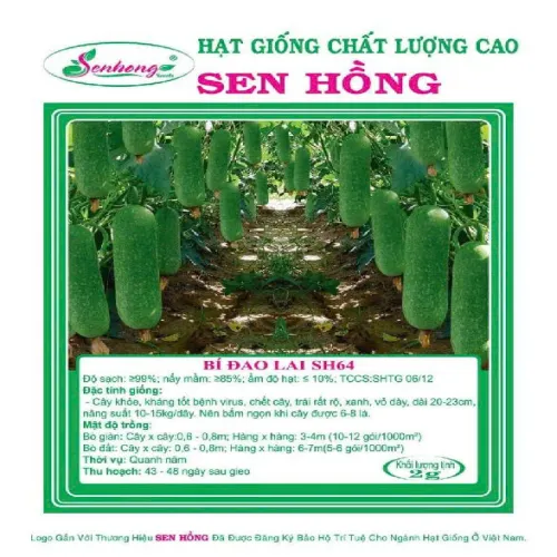BÍ ĐAO LAI F1 SH64