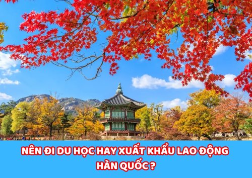 NÊN ĐI DU HỌC HAY XUẤT KHẨU LAO ĐỘNG HÀN QUỐC