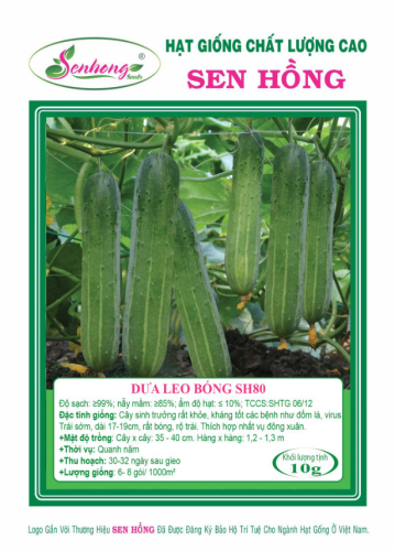 DƯA LEO BÓNG SH80