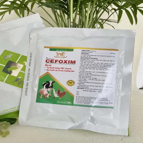 Cefoxim