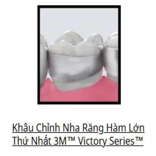 Khâu chỉnh nha răng VICTORY SERIES™ R6 (Khâu R6) R7 (Khâu R7)