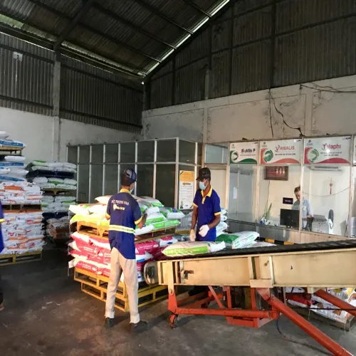 Cung Ứng Bốc Xếp Neovea Sóc Trăng | Nhanh, Gọn, Đúng Giờ