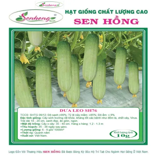 DƯA LEO SH76
