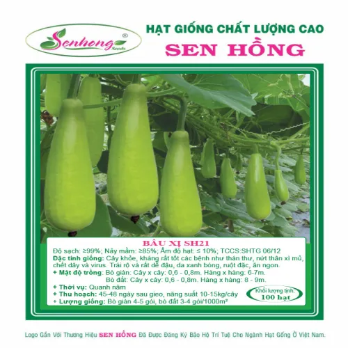 BẦU XỊ SH21