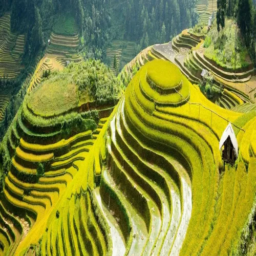 Combo 2N1Đ De La Coupole Sapa – Mgallery Trọn Gói Vé Xe Khứ Hồi