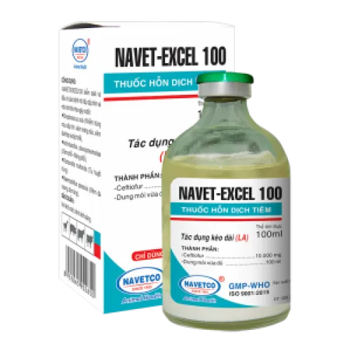 NAVET EXCEL 100