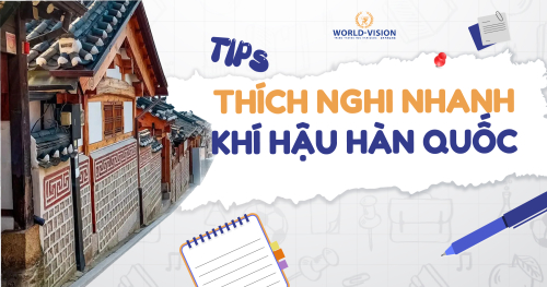 “TIP” THÍCH NGHI NHANH VỚI KHÍ HẬU HÀN QUỐC