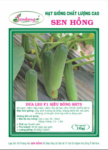 DƯA LEO F1 SIÊU BÓNG SH73