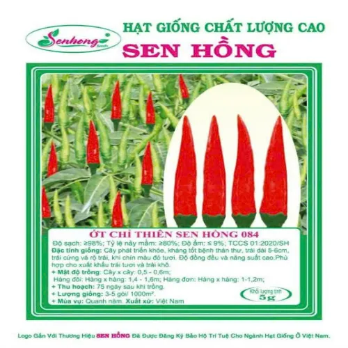 ỚT HIỂM LAI SEN HỒNG 084