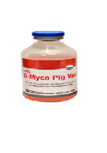 Vacin Myco Pig