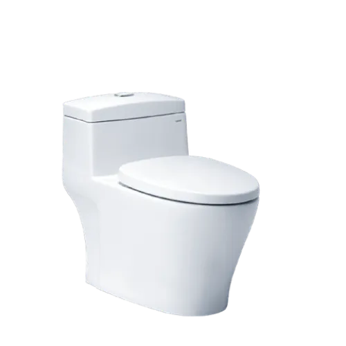 Bồn cầu 1 khối Caesar6