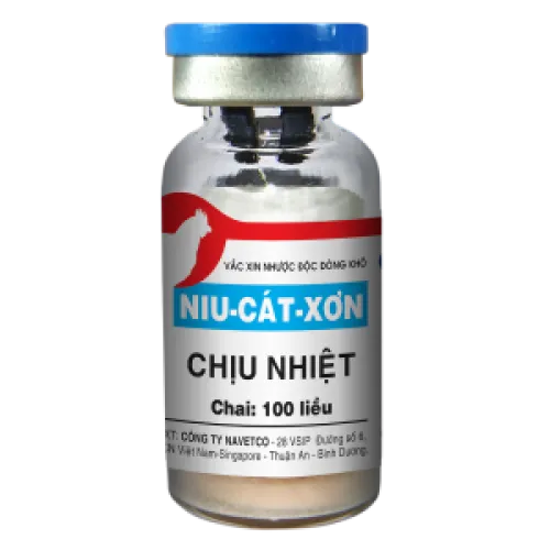 NIU CÁT XƠN Chịu nhiệt