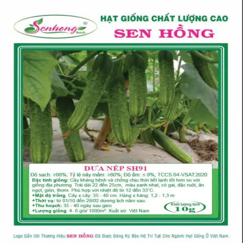 DƯA NẾP SH91
