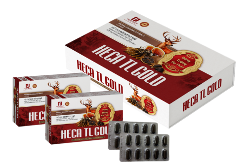 HECA TL GOLD