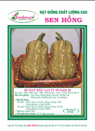 BÍ HẠT ĐẬU LAI F1 SUGAR 26