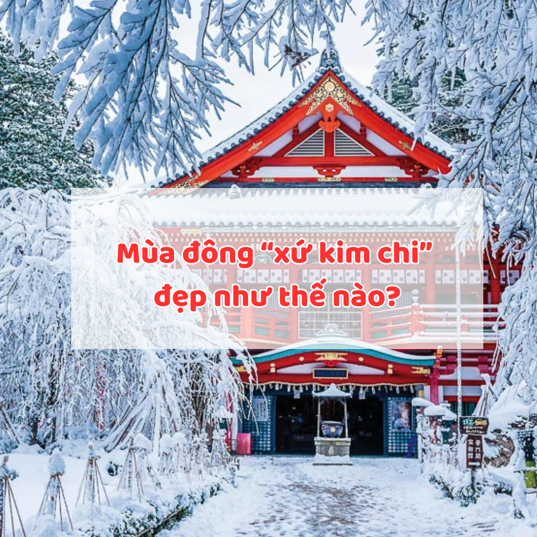 Mùa đông “xứ kim chi” đẹp như thế nào?