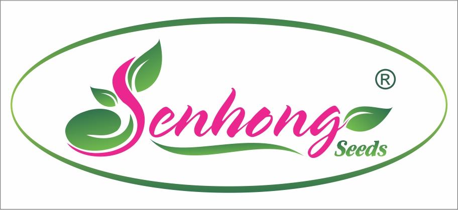 SEN HỒNG SEEDS