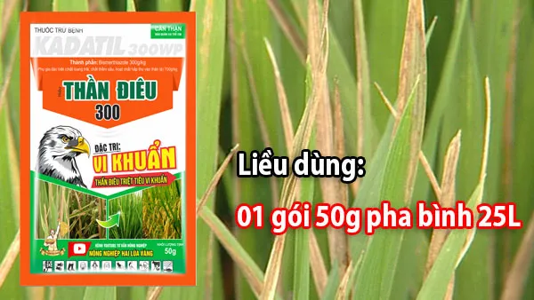 chay bia la kem thuoc