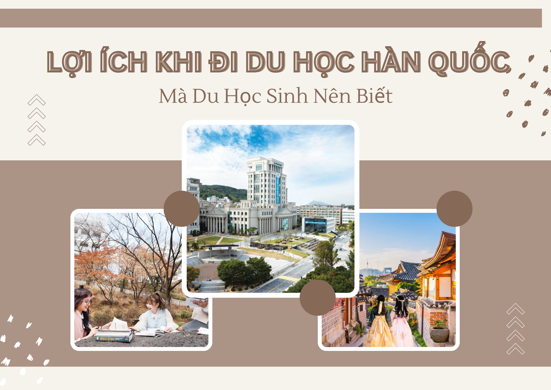 Lợi Ích Khi Đi Du Học Hàn Quốc Mà Du Học Sinh Nên Biết