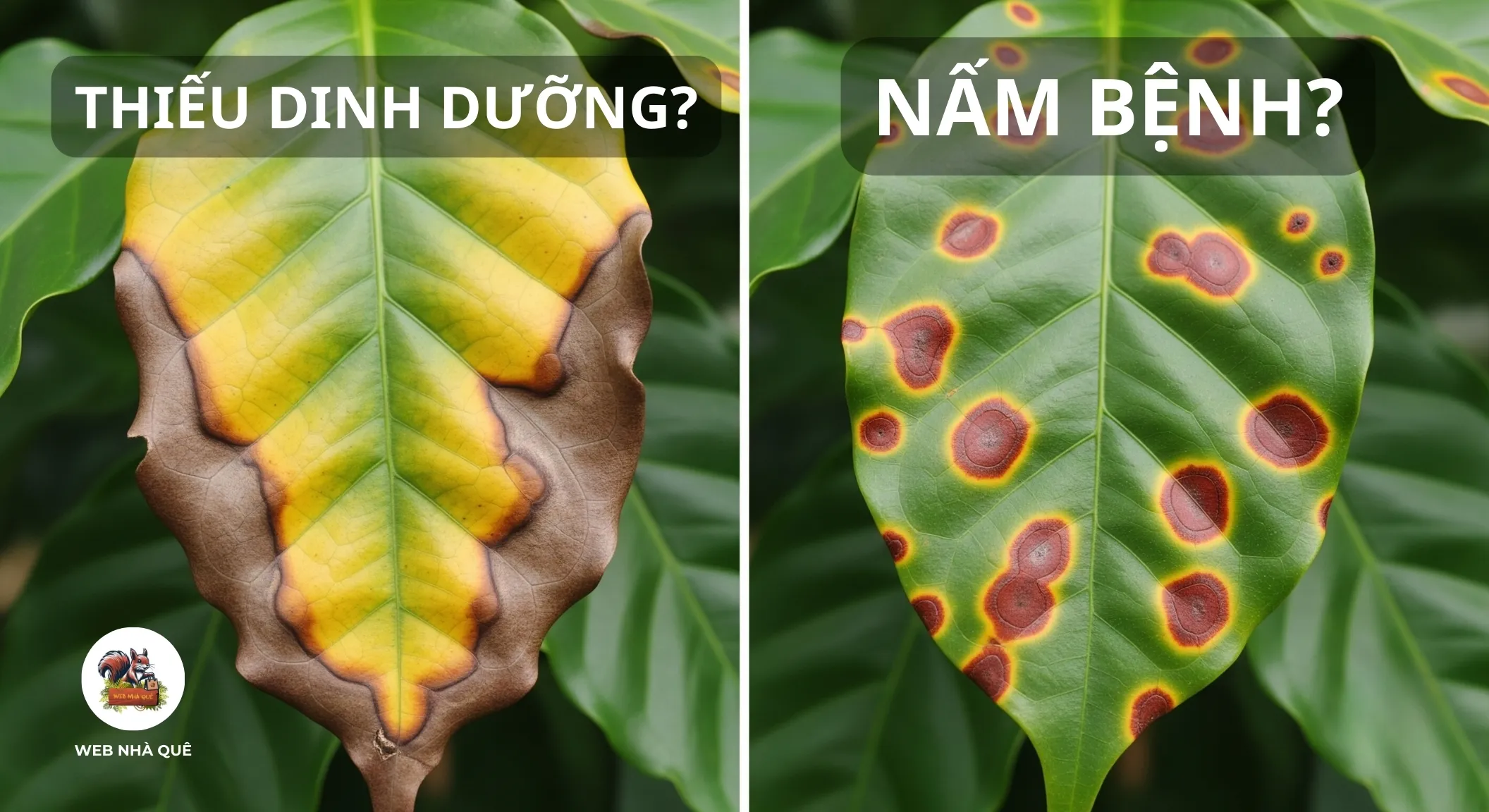 Tuổi trẻ Nghệ An