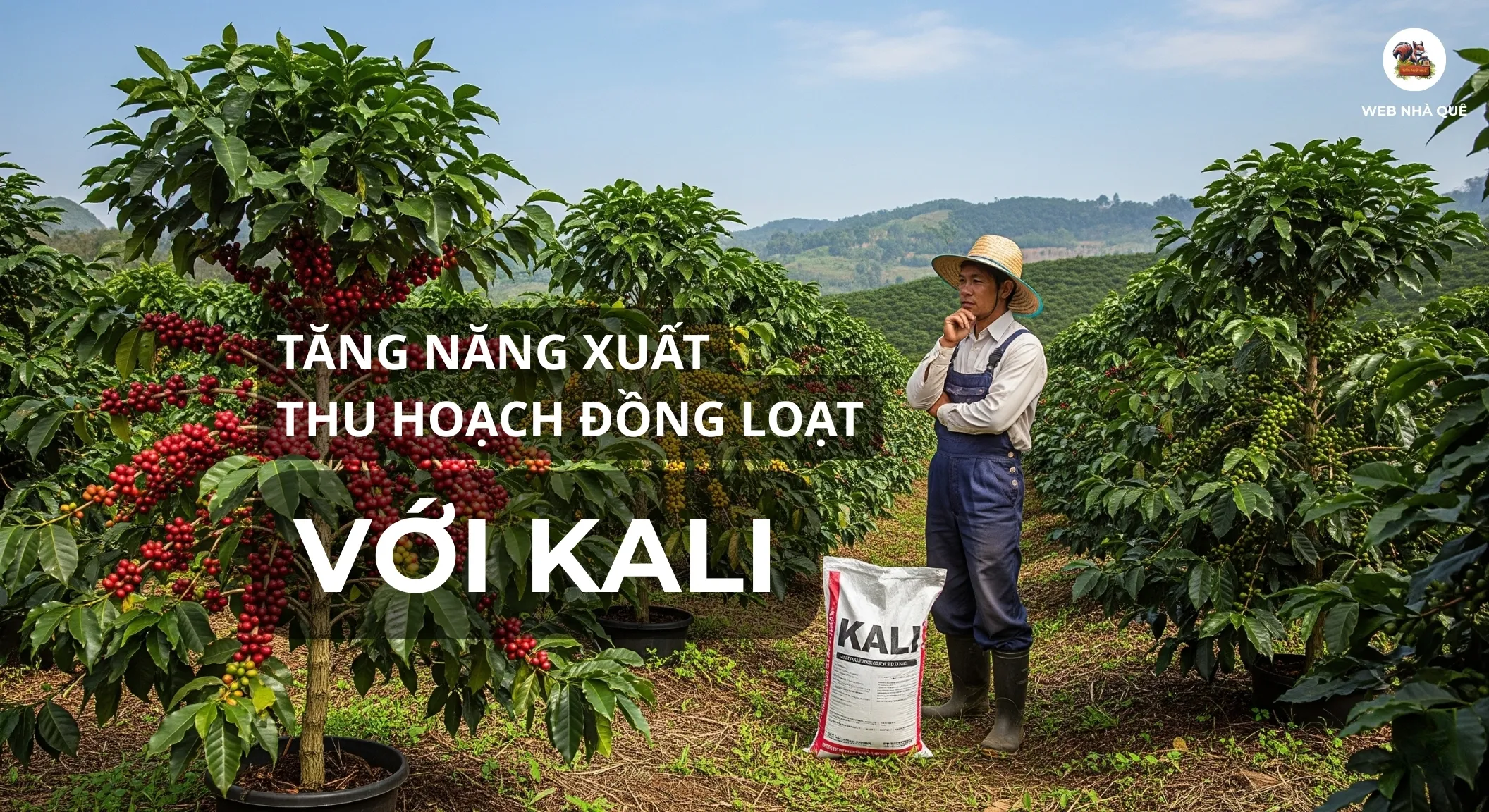 Tuổi trẻ Nghệ An