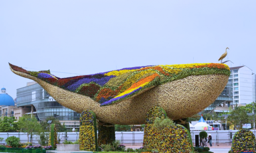 goyang flower festival111 820x491