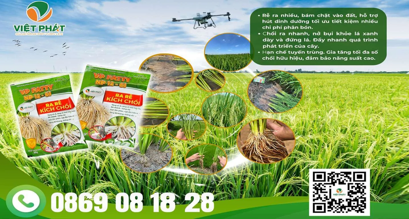 Phân bón Cà Mau sắp khai trương cửa hàng nông nghiệp đô thị