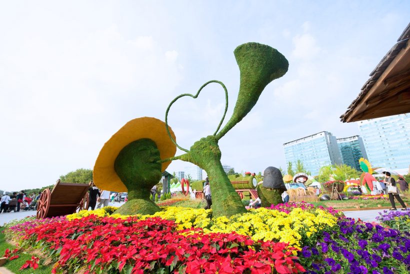 goyang flower festival222 820x547