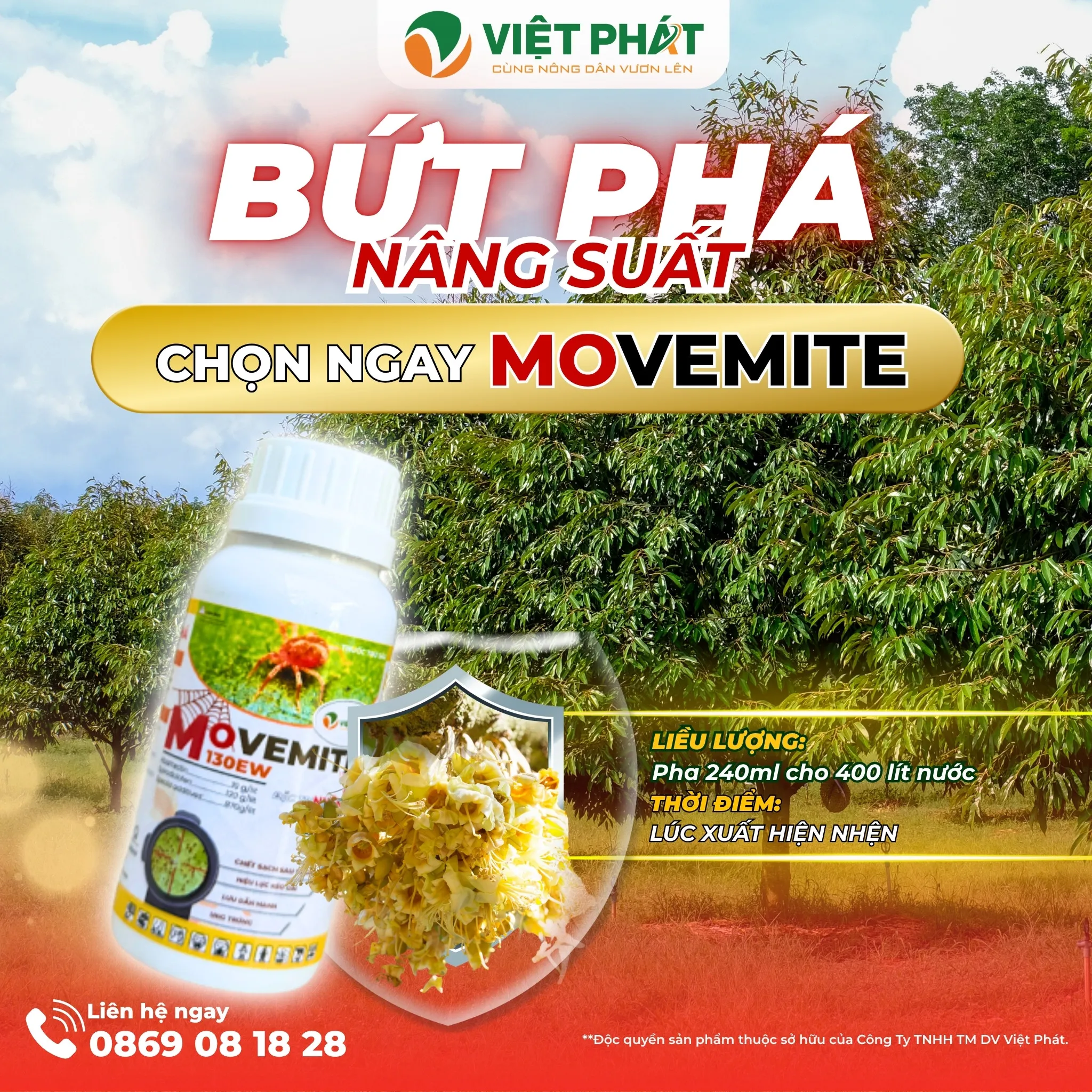 NGUYÊN NHÂN VÀ CÁCH ĐIỀU TRỊ NHỆN ĐỎ KHÁNG THUỐC - NÔNG NGHIỆP VIỆT PHÁT