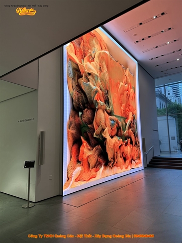 lap dat man hinh led can tho5