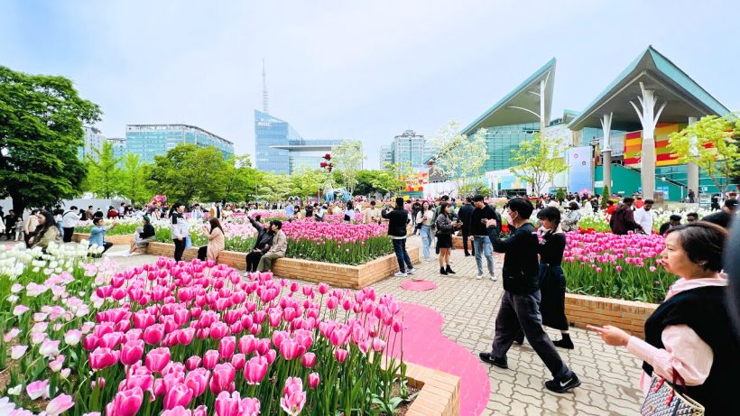 goyang flower festival5 820x461