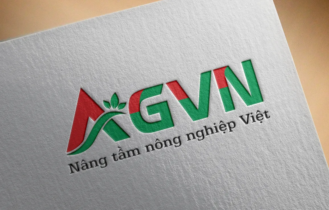 anh chup man hinh 2025 07 28 164907