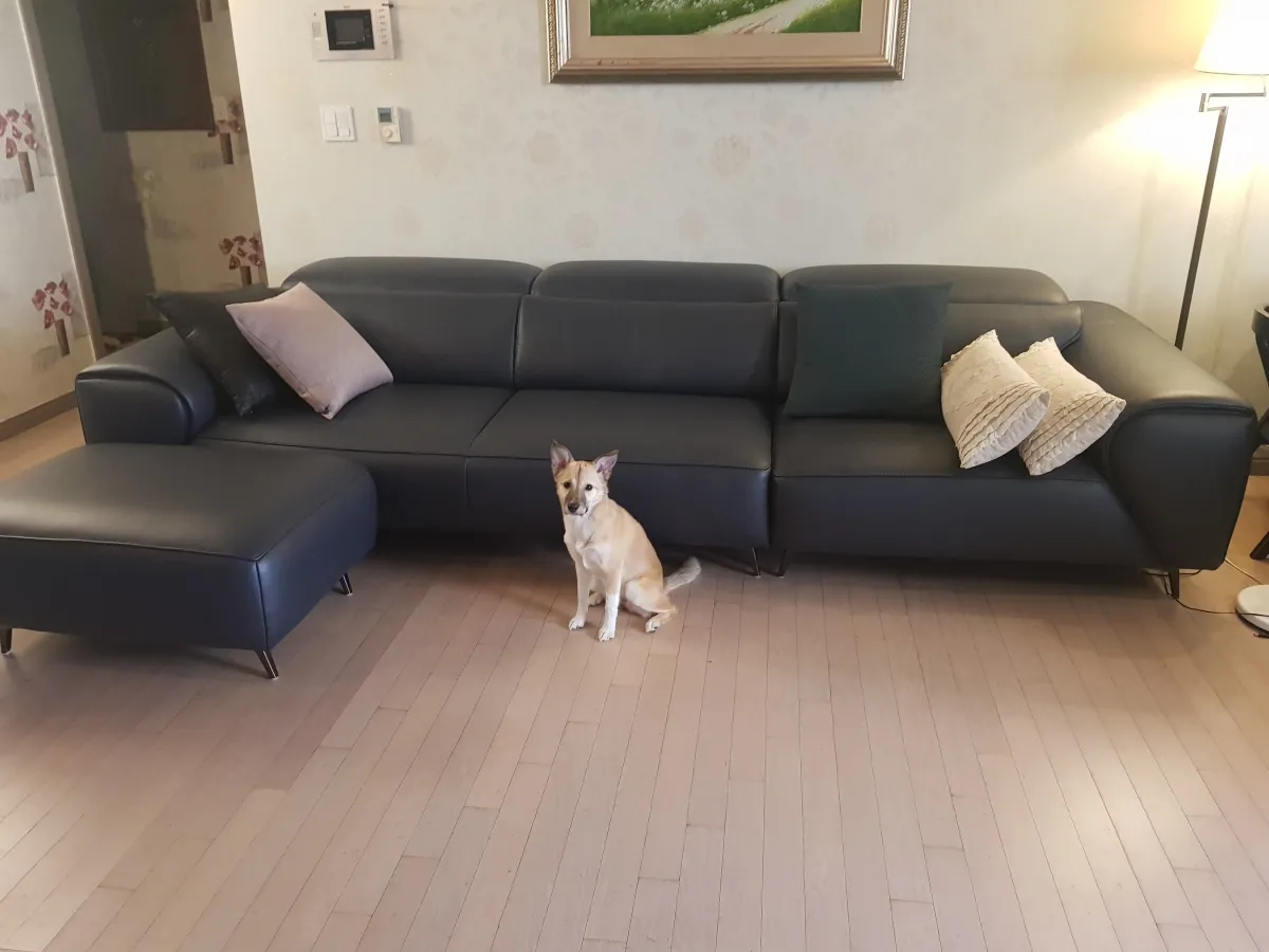 sofa|sofa phòng khách|sofa góc|sofa da bò|sofa cao cấp|sofa cần thơ|nội thất amy|nội thất cần thơ