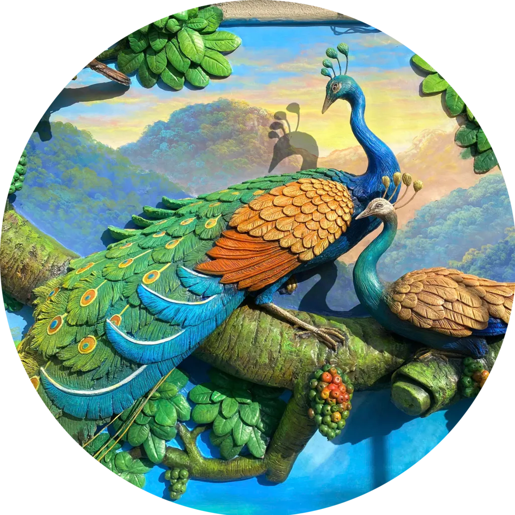 hinh tron trangchu zetart fileminimizer