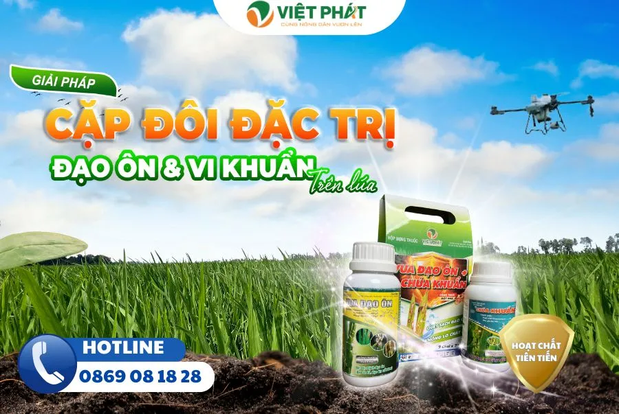 Nông nghiệp, năng lượng tái tạo sẽ được ưu tiên vay vốn xanh | Nông dân miền Tây thu lời tiền tỷ nhờ đầu tư công nghệ