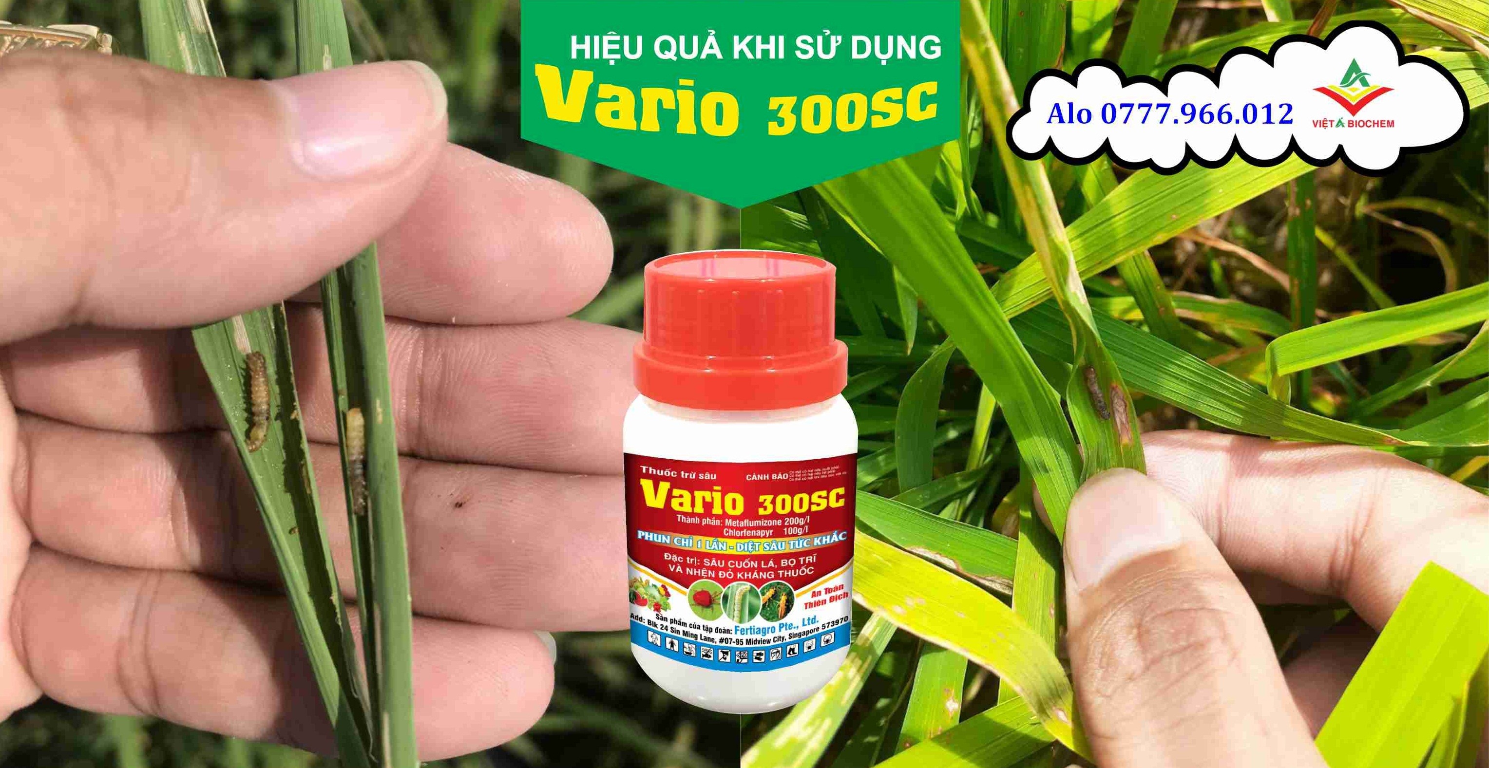 vario sau chet