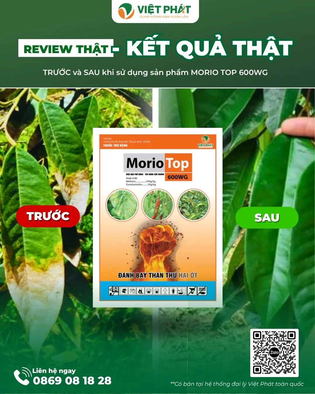 🌿Bệnh Thán Thư Trên Sầu Riêng – Nguy Hiểm Và Biện Pháp Phòng Trị Hiệu Quả - VIỆT PHÁT NÔNG NGHIỆP