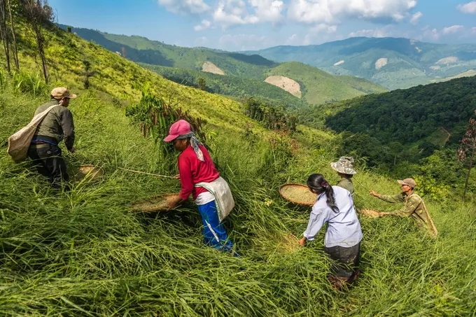 Nông nghiệp sinh thái: Hướng đi bền vững cho tương lai