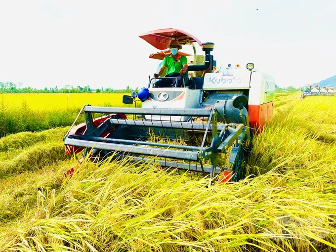 Nông nghiệp An Giang khẳng định vai trò nền tảng trong phát triển kinh tế