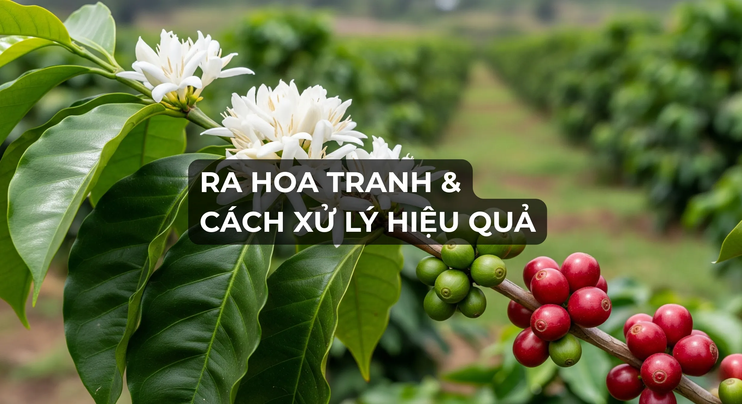 Tuổi trẻ Nghệ An