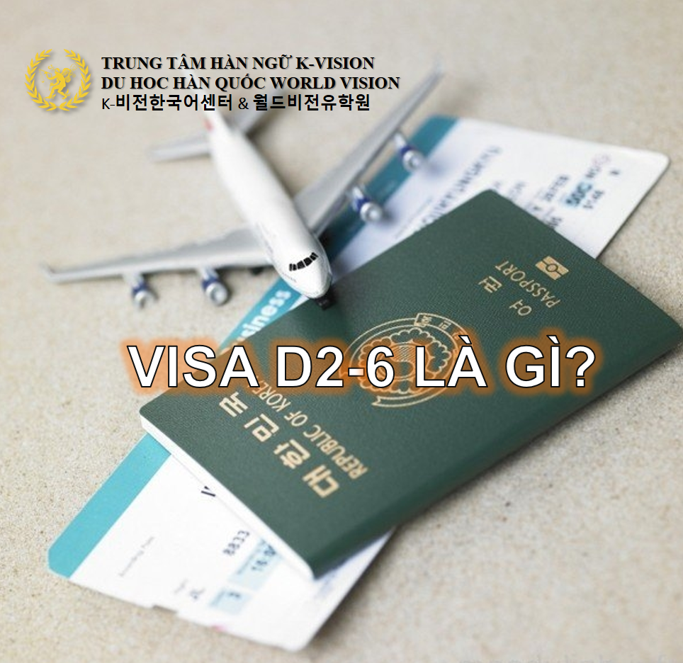 Hiểu về Visa D2-6 là gì? Thủ tục xin Visa D2-6