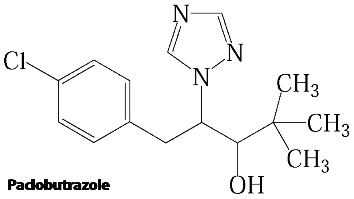 paclobutrazole